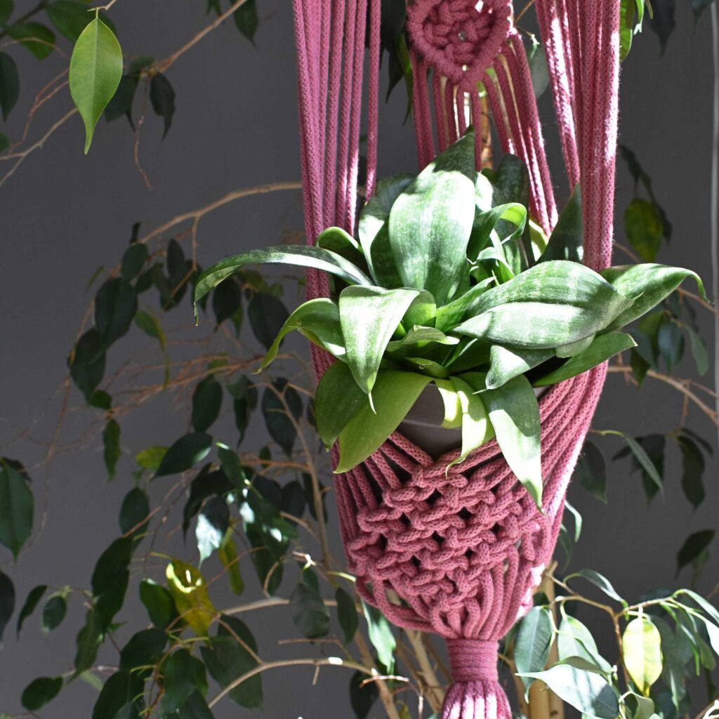 Kwietnik z makramy wykonany z różowego sznurka z rośliną w środku.